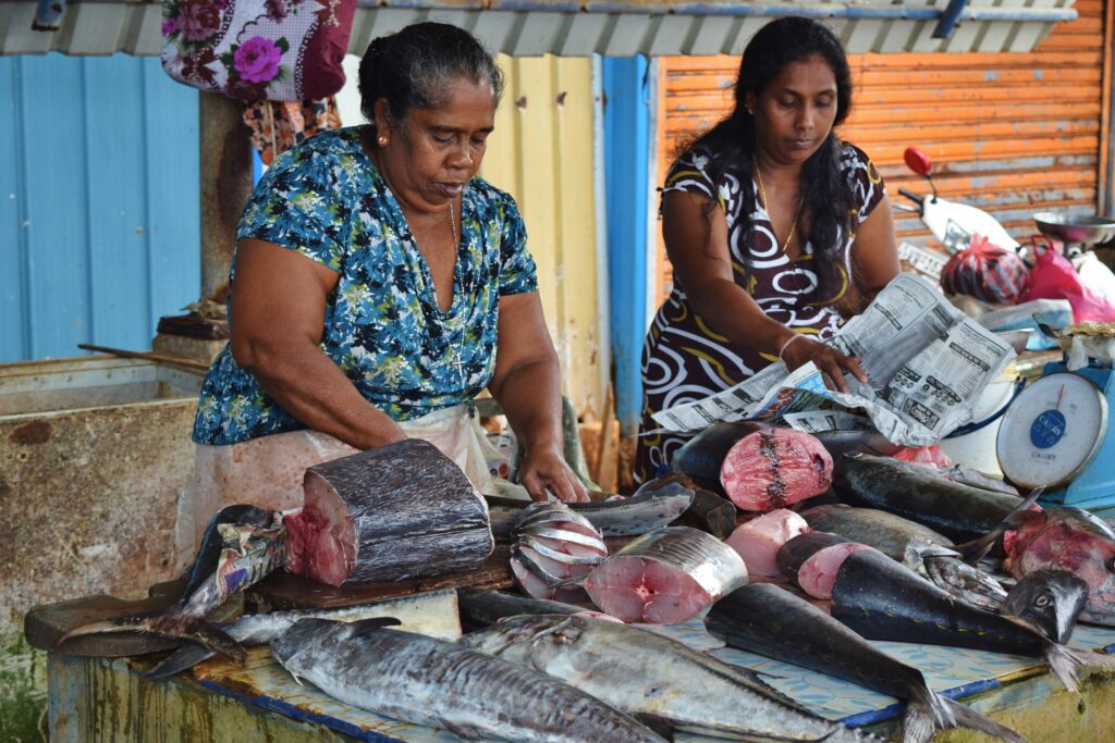 Backpacken in Sri Lanka begint in Negombo, we zien de vismarkt vrouwen.