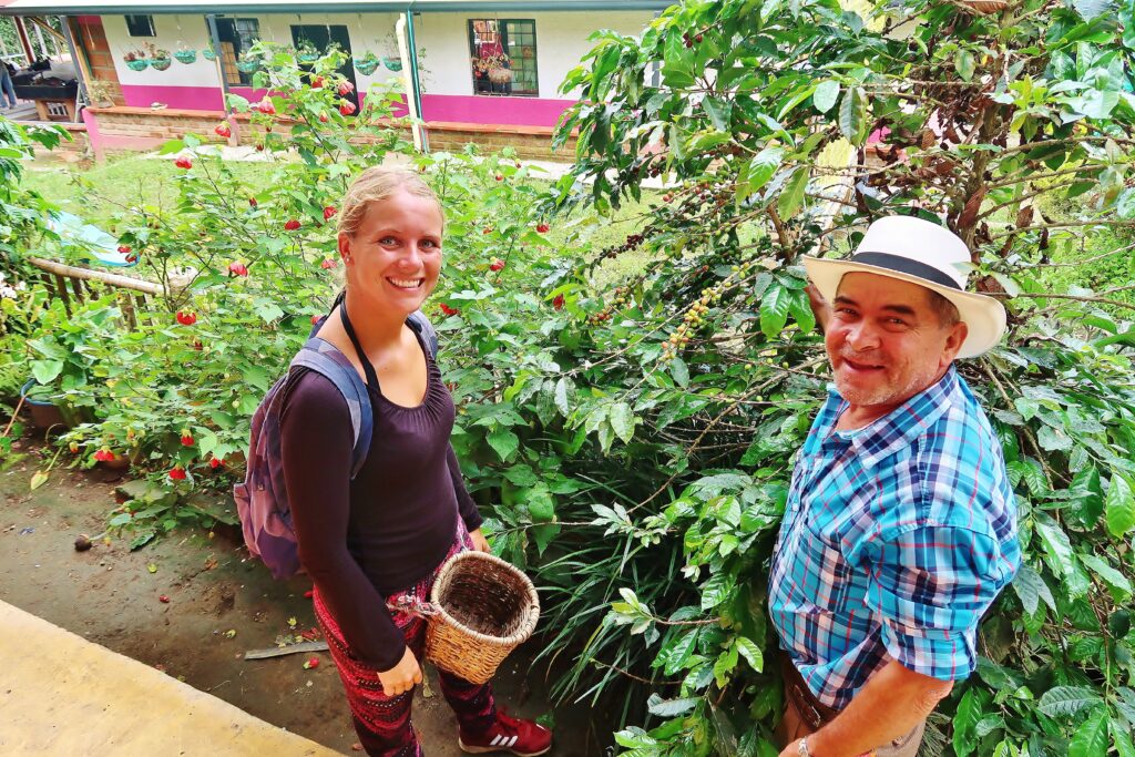 Backpacken in Colombia Salento Acacias Coffie Farm.