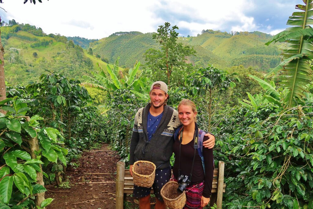 Backpacken Colombia zelf koffie telen op een coffee farm