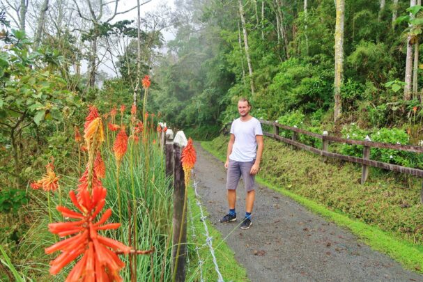 Backpacken in Colombia: Salento en Valle de Cocora