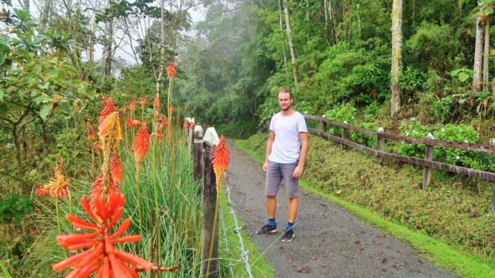 Backpacken in Colombia: Salento en Valle de Cocora