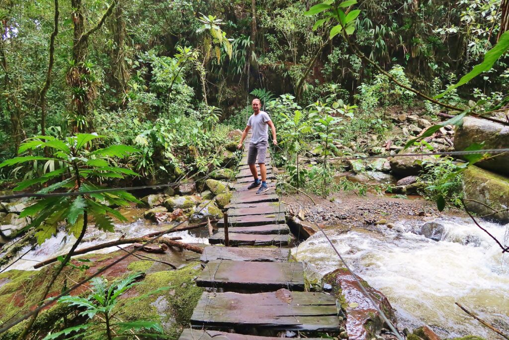Jungle Hike Valle de Cocora