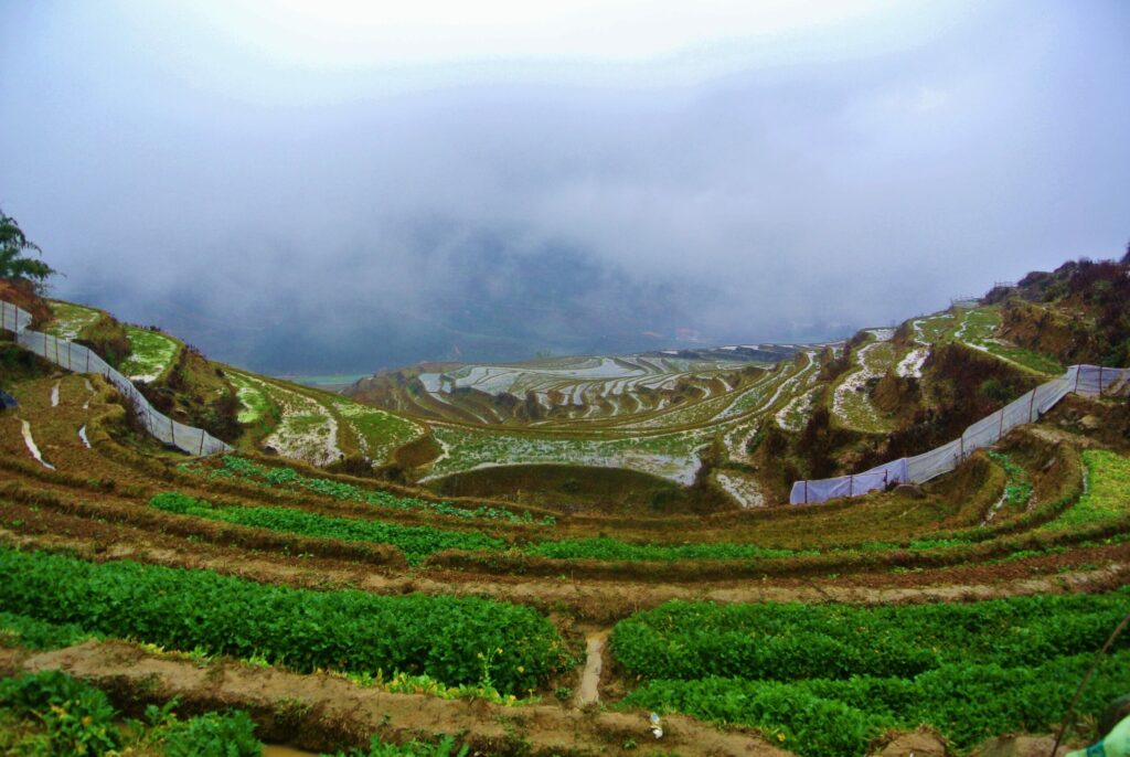 Backpacken tussen de rijstvelden in Sapa, Noord-Vietnam