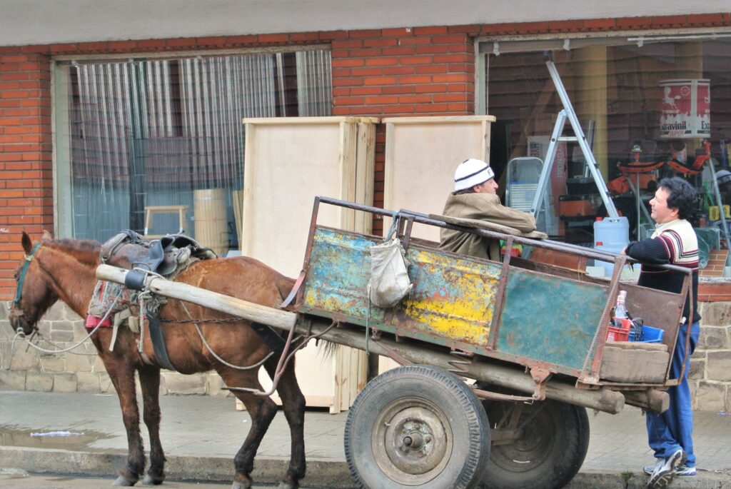 Een paard en wagen op straat in Salto, Uruguay.