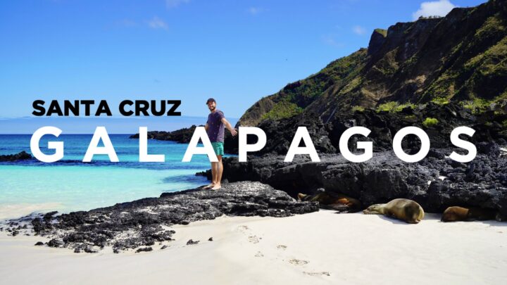 Galapagos Eilanden: Isla Santa Cruz