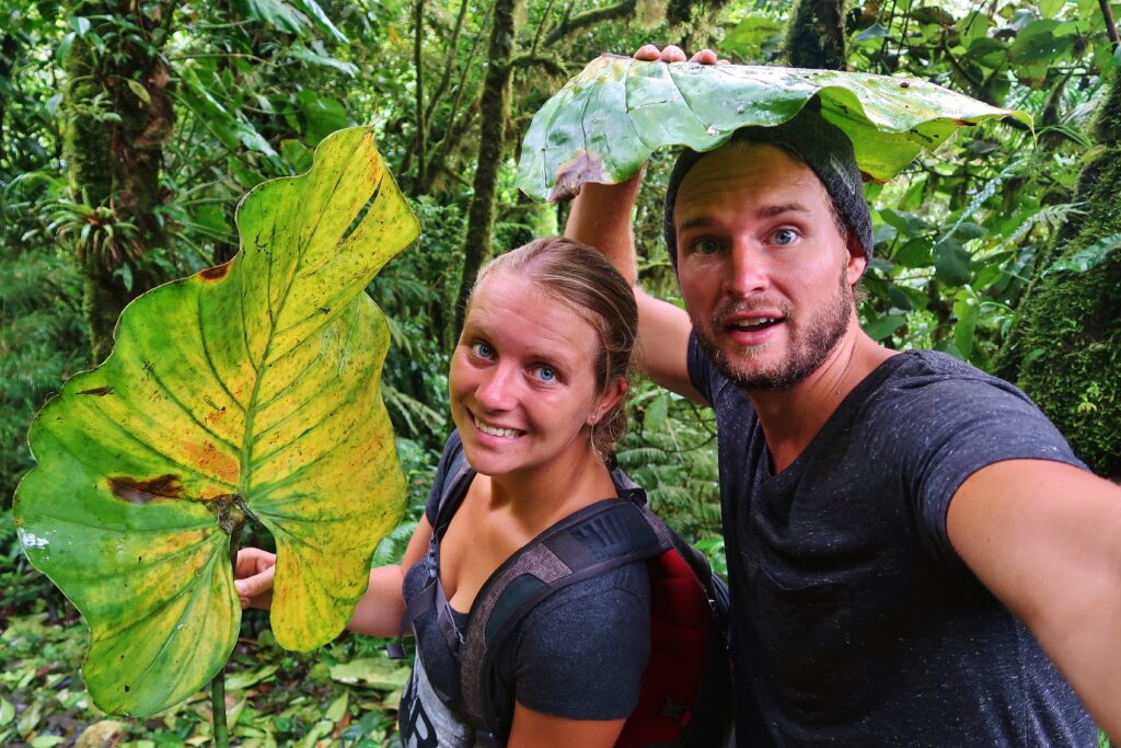 We schuilen onder grote bladeren in de jungle van Monteverde