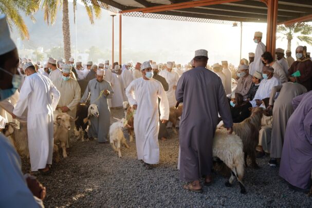 De grootste geitenmarkt van Oman in Nizwa