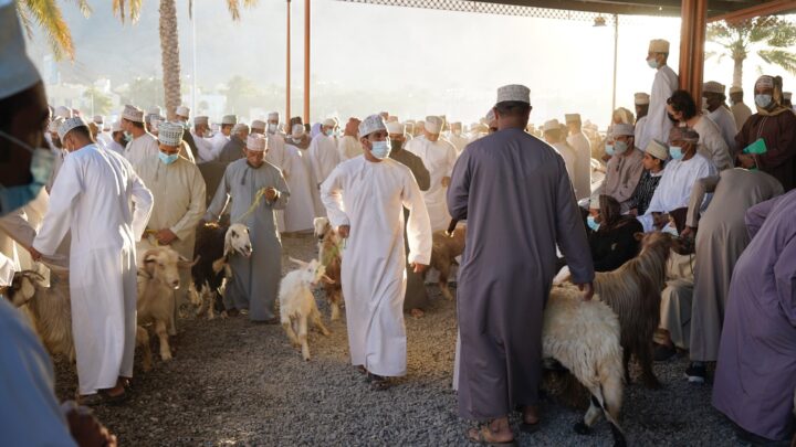 De grootste geitenmarkt van Oman in Nizwa