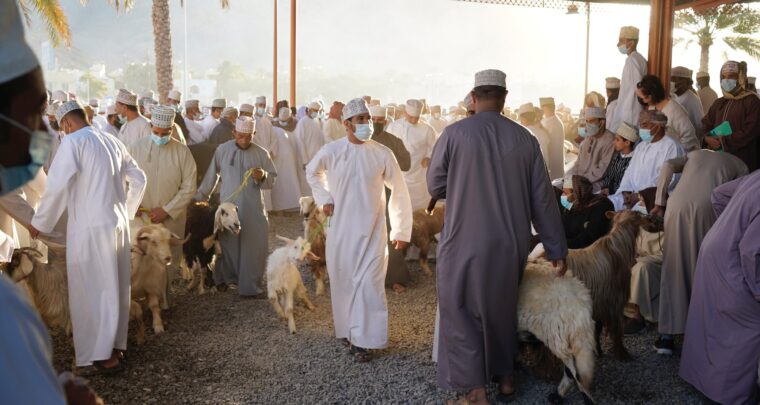De grootste geitenmarkt van Oman in Nizwa