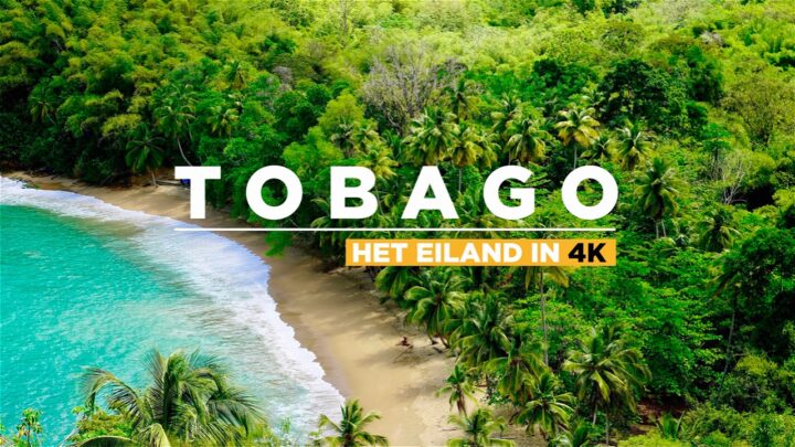 Tobago: een onontdekt natuurparadijs in beeld