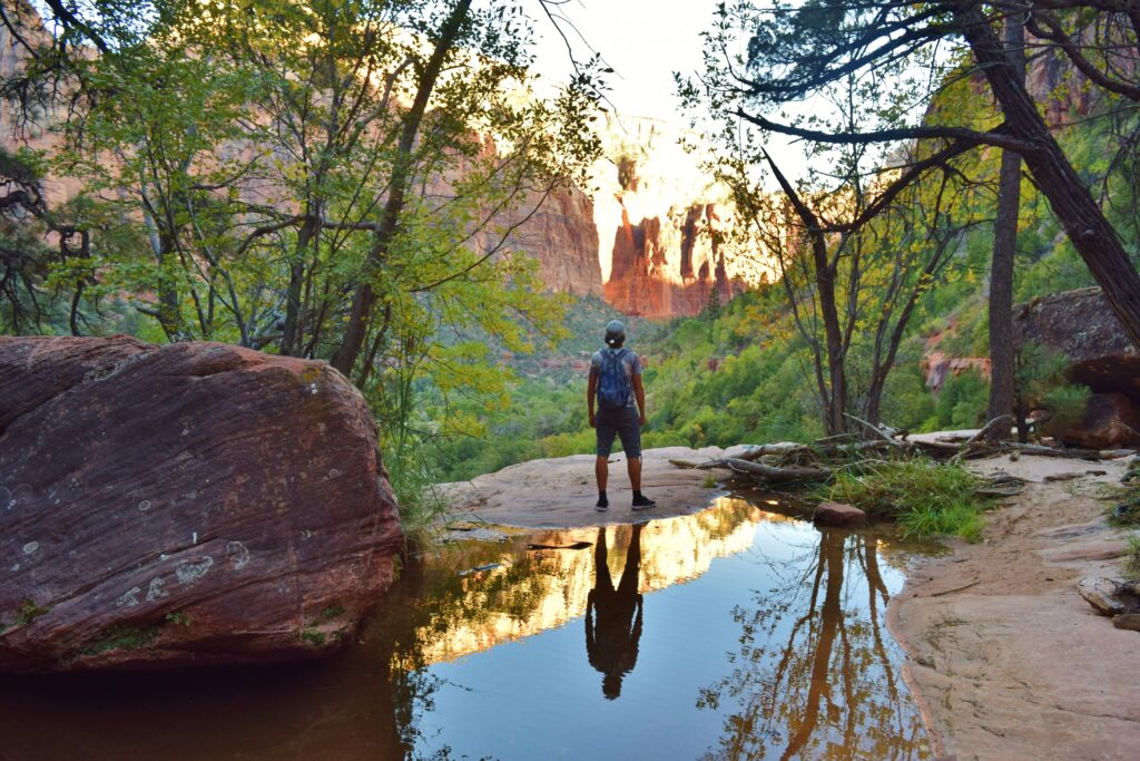 Top 10 westkust Amerika Bezienswaardigheden Zion