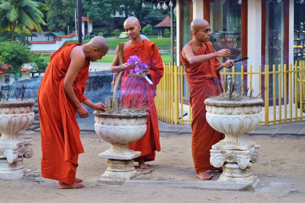 Reizen na Corona is goed mogelijk in Sri Lanka